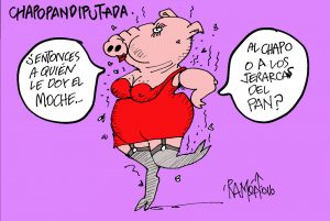 carton 006