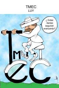 luypolitica